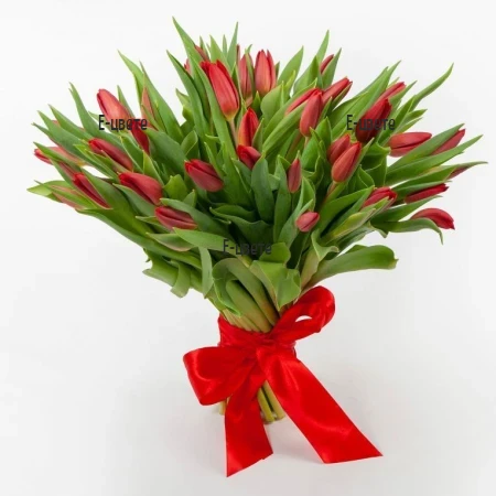 A bouquet of 51 red tulips