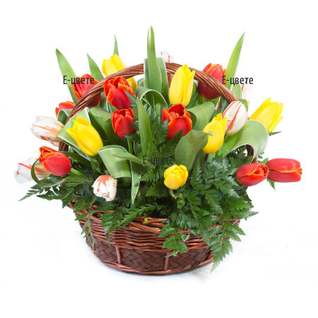 Send a basket with colourful tulips.