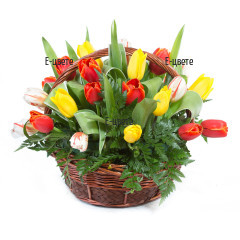 Send a basket with colourful tulips.