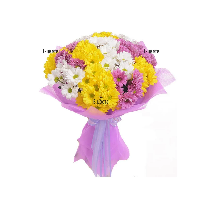 A bouquet of chrysanthemums - Beautiful rainbow
