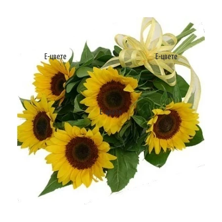 Delivery of Bouquet of Sunflowers with a ribbon