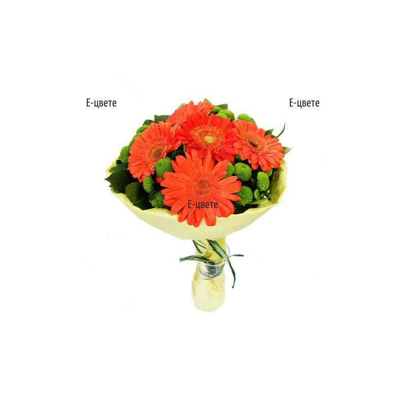 Send a bouquet of gerberas and chrysanthemums to Sofia by courier.