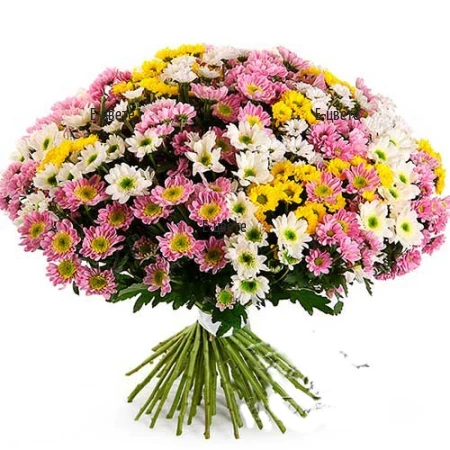 Send an enormous bouquet of chrysanthemums