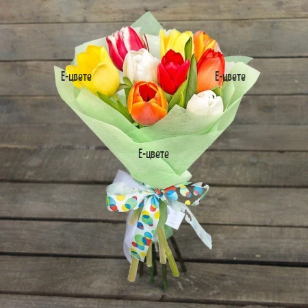 Send spring bouquet of tulips to Sofia, Plovdiv, Varna