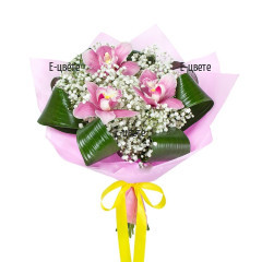 Flower delivery - send a bouquet of orchids to Sofia, Ruse, Plovdiv, Varna
