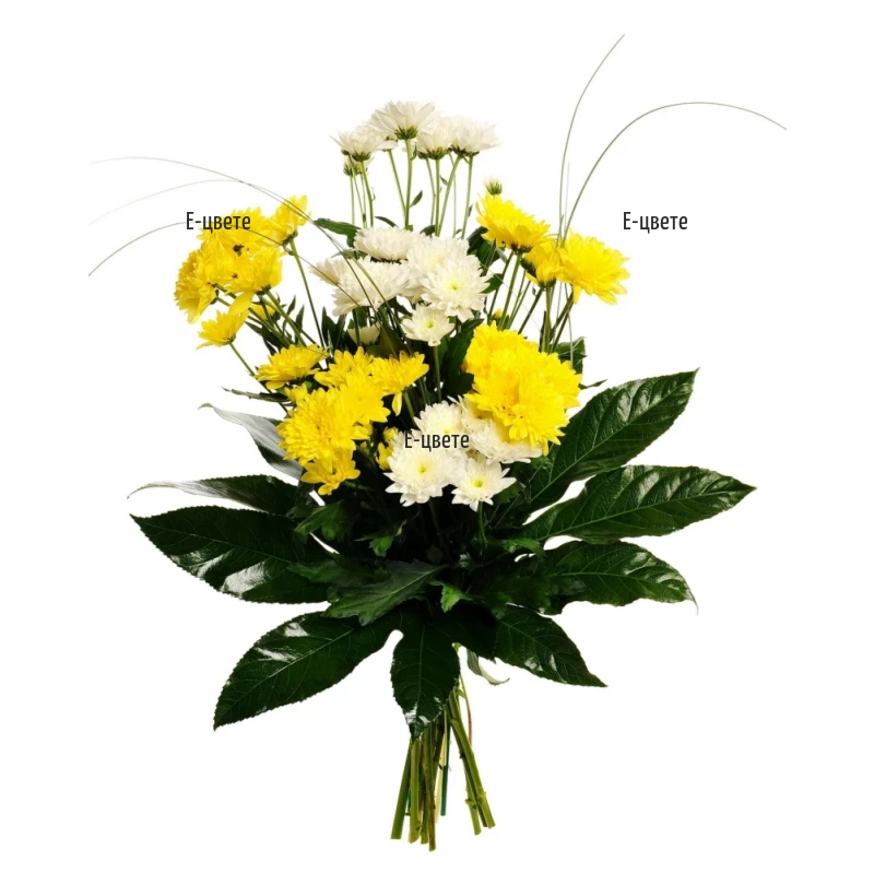 Send a bouquet of white and yellow chrysanthemums.