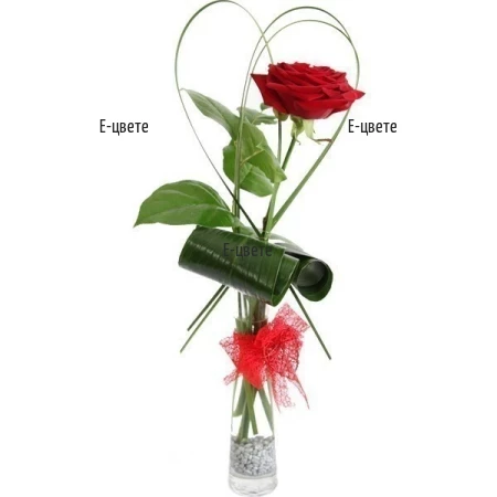 Доставка на една класическа червена роза във ваза