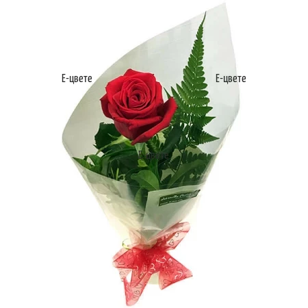 An online order and a delivery of one red rose with gift wrapping