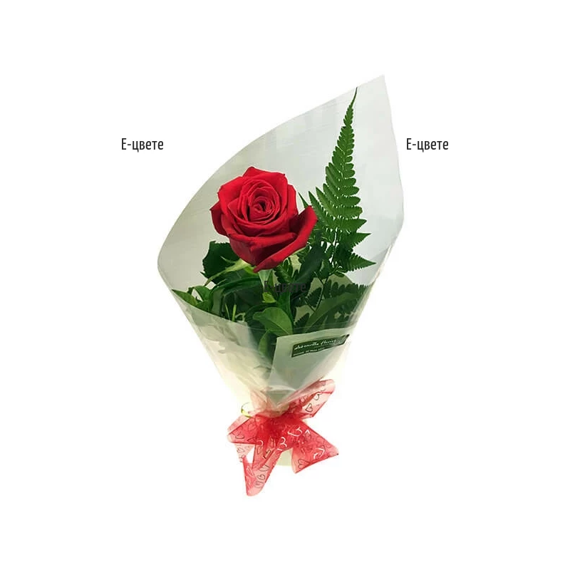 Онлайн поръчка на една опакована червена роза