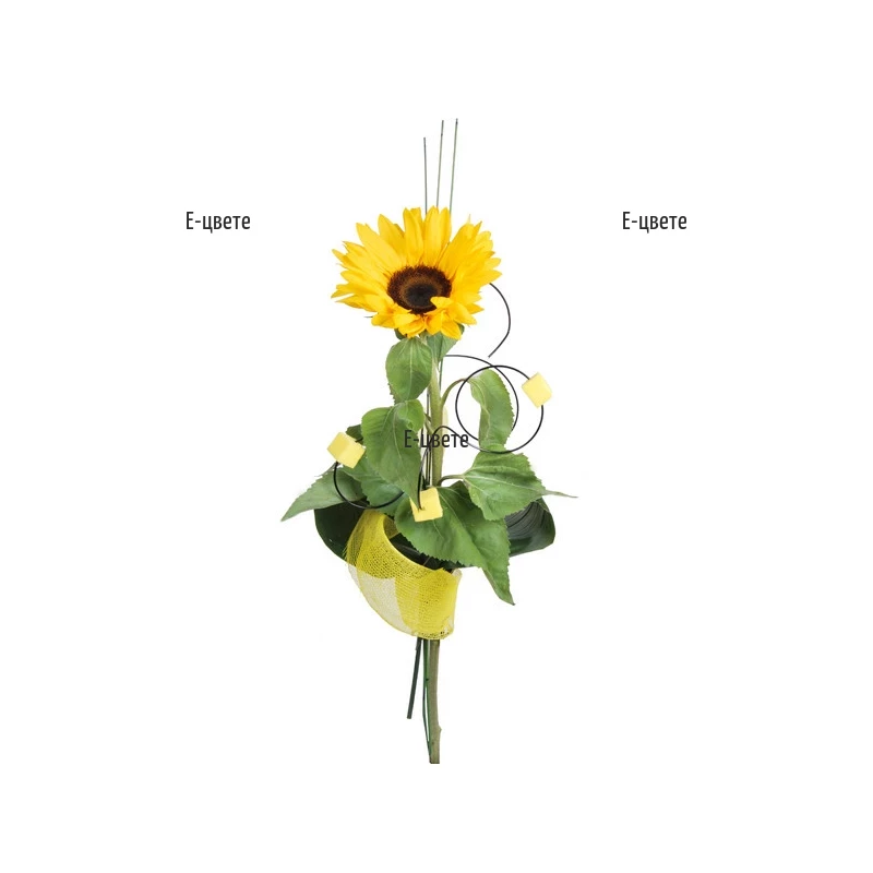 Send a sunflower and greenery to Sofia.