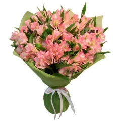 Send a bouquet of pink alstroemerias