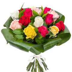 Send flowers - variety of 15 colourful roses