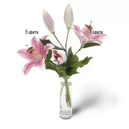 Send a bouquet of one lily to Sofia, Plovdiv, Varna, Burgas