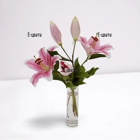 Send a bouquet of one lily to Sofia, Plovdiv, Varna, Burgas