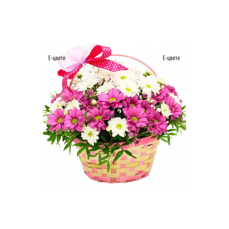 Send a basket with chrysanthemums to Bulgaria