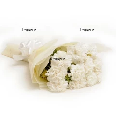 Send to Bulgaria white carnations for condolences