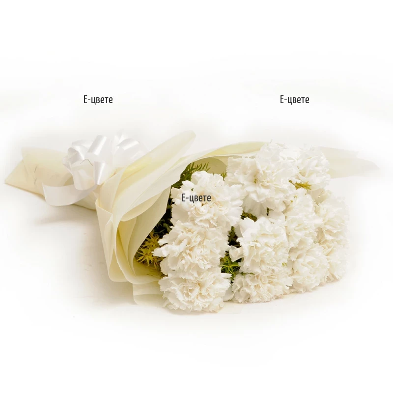 Send to Bulgaria white carnations for condolences