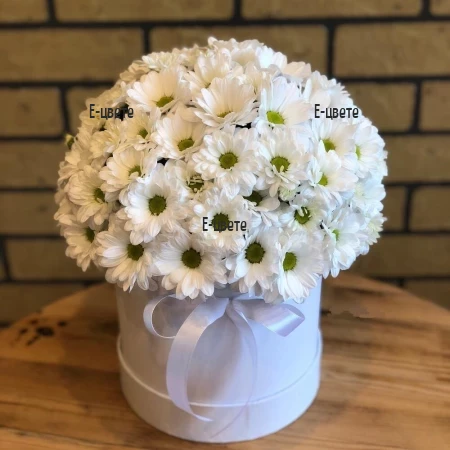 Доставка на кутия за цветя с бели хризантеми