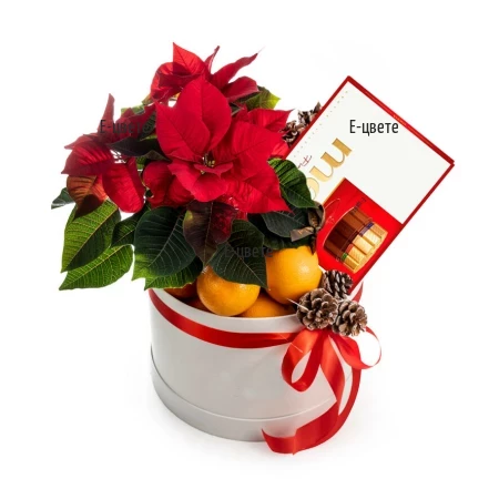Gift box with poinsettia and gifts