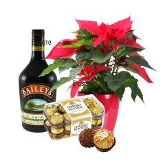 Send Poinsettia and gifts to Bulgaria