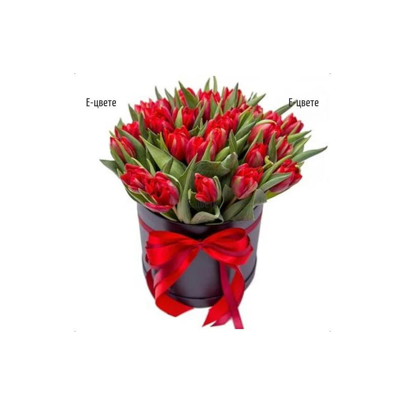 Order online 25 red tulips in a box