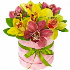 Order of orchids in a box to Bulgaria