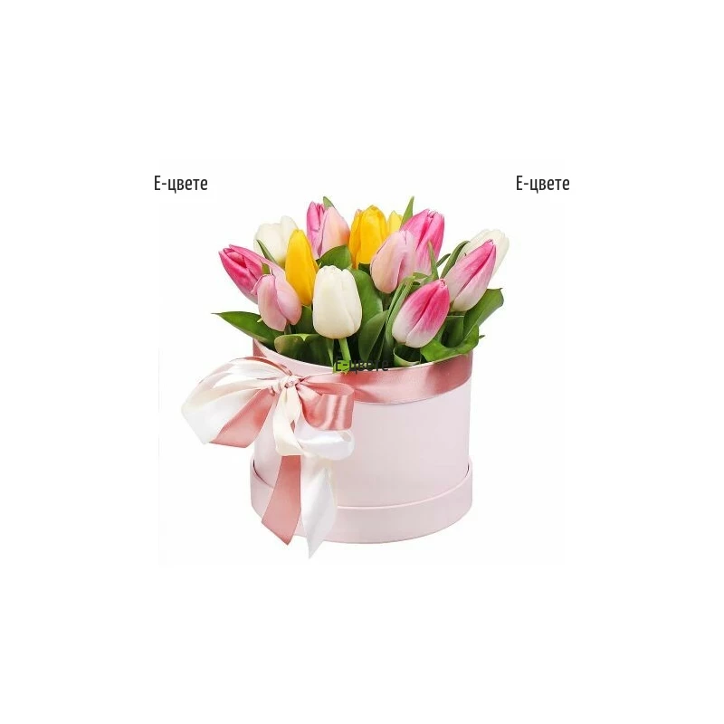 Send tulips to Bulgaria by local florist