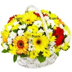 Send nice flower basket to Bulgaria