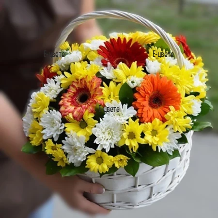 Send nice flower basket to Bulgaria