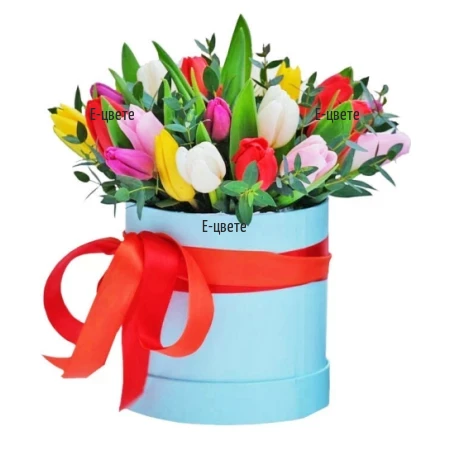 Send 25 tulips in flower box to Sofia Bulgaria
