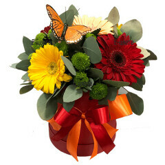 Send to Bulgaria a box of colorful flowers