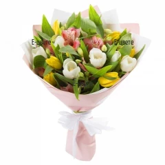 Delivery of a bouquet of tulips and alstroemeria