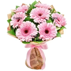Send a bouquet of pink gerberas to Bulgaria