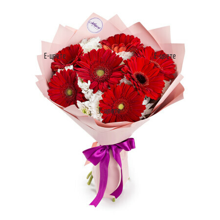 Bouquet of red gerberas white chrysanthemums