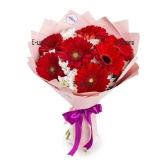 Bouquet of red gerberas white chrysanthemums