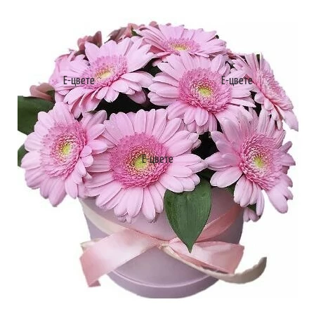 Delivery of a box of 11 pink gerberas by courier to Bulgaria