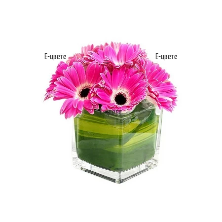 Delivery of gerberas in a glass cube