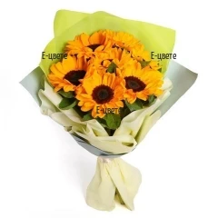 Summer bouquet of seven bright sunflowers wrap