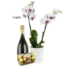 Доставка на орхидея, пенливо вино и шоколади