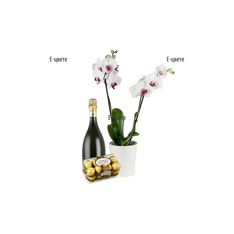 Доставка на орхидея, пенливо вино и шоколади