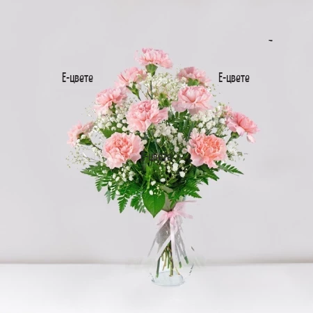 Send a bouquet of pink carnations to Bulgaria