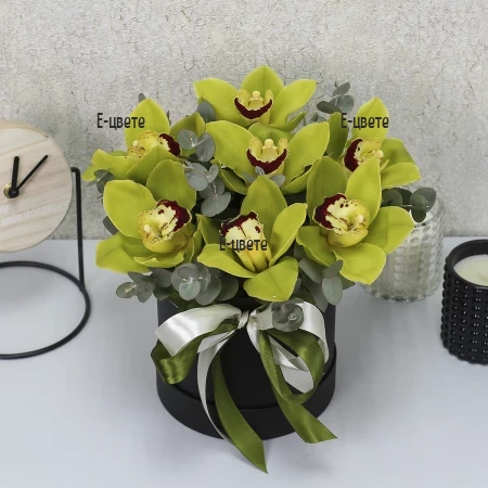 Send round box with orchids exotic butterflies