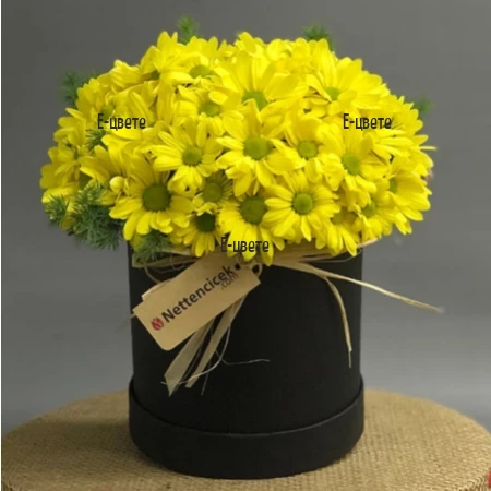 Send to Bulgaria yellow chrysanthemums in a flower box