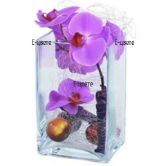 Send flower arrangement - an orchid in glass container.