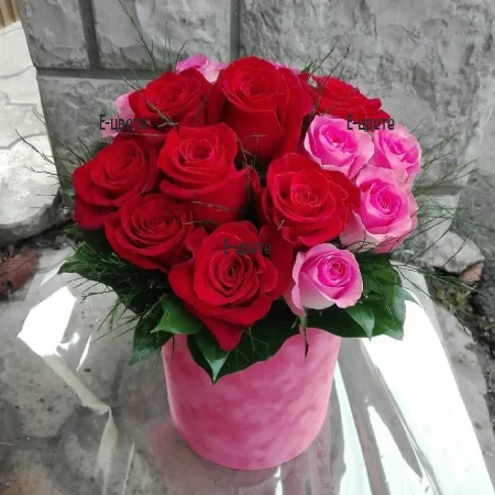 Online order and delivery of 15 roses in a box to Bulgaria