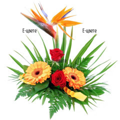 Send flower arrangement - Fairy Day