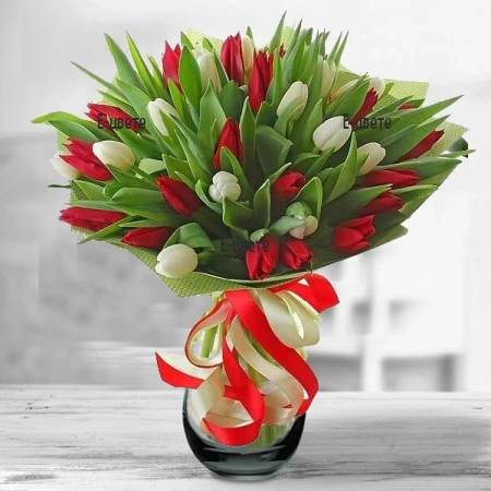 Send a bouquet of tulips - White and red