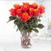 Orange roses
