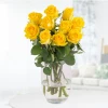 Yellow roses