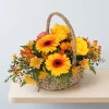 Fast meeting